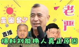 老严唐军爆料视频,事件背后惊人真相