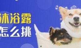 爆料科普宠物视频大全