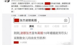 芒果博主爆料视频大全,揭秘娱乐圈幕后真相