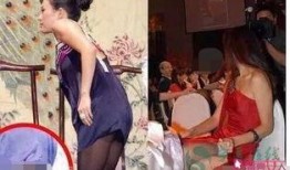 娱乐圈内人爆料的明星,揭秘明星背后的惊人真相