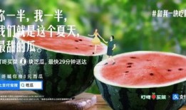 娱乐吃瓜酱 文案,揭秘娱乐圈那些不为人知的幕后故事
