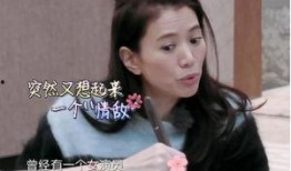 女明星视频爆料大全集下载,揭秘娱乐圈不为人知的秘密瞬间