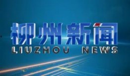 崇左电视台新闻爆料电话,揭开城市热点背后的真相