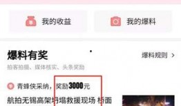 今日头条咋爆料呀视频,揭秘“咋爆料呀”视频背后的真相