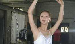 芭蕾舞蹈爆料视频,爆料视频揭示舞蹈者的辛勤与魅力