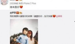 本周八卦爆料最新消息,明星恋情曝光，幕后黑手浮出水面，揭秘娱乐圈风云变幻