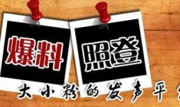 最新民间爆料新闻,最新民间爆料揭露惊天秘密