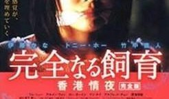 禁室培欲3 在线观看,密室诱惑背后的惊悚揭秘