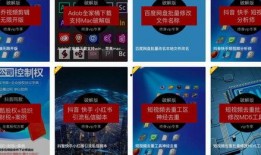 网球爆料视频素材,揭秘赛场背后的精彩瞬间