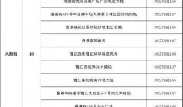 南沙病例爆料最新情况公布,揭秘病毒变异与防控措施