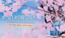 樱花千代王爆料视频,揭秘神秘视频背后的惊人真相