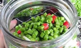 酸豆角爆料视频教程下载,酸香开胃，简单易学，跟着视频轻松学会