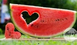 在线免费吃瓜,揭秘网络世界的甜蜜诱惑