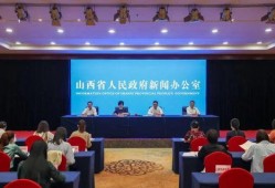 岑前村拆迁爆料新闻发布会,新闻发布会揭秘项目进展与居民安置”
