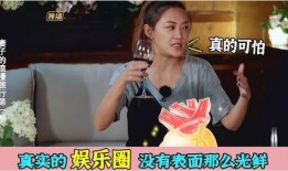 2017娱乐圈内幕爆料,揭秘那些不为人知的幕后真相